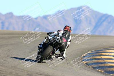 media/Jan-09-2022-SoCal Trackdays (Sun) [[2b1fec8404]]/Turn 12 Backside (130pm)/